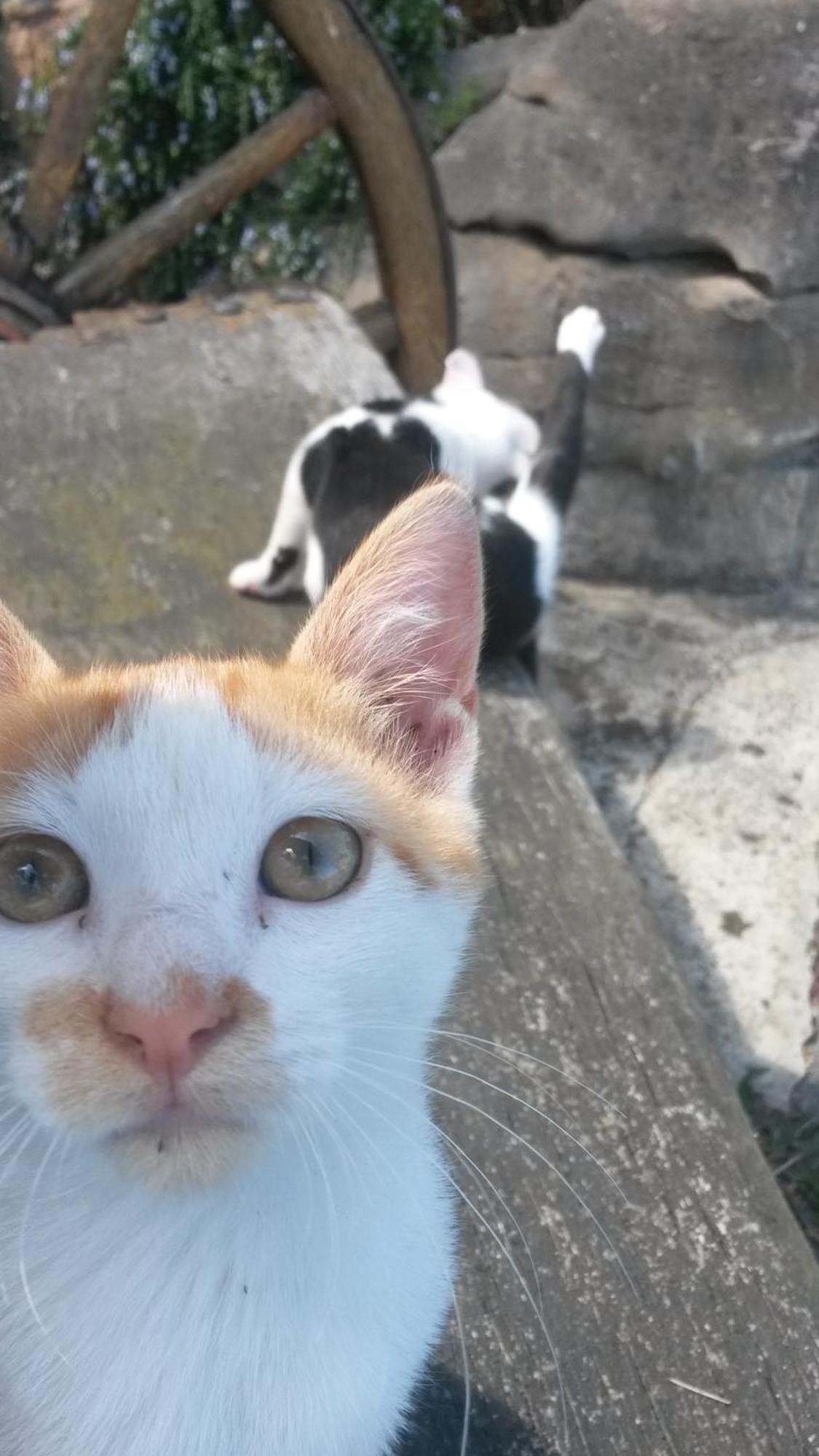 Alojamientos Mirapenas Verdicio エクステリア 写真